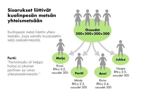 yhteismetsa-kuolinpesa-graafi.jpg