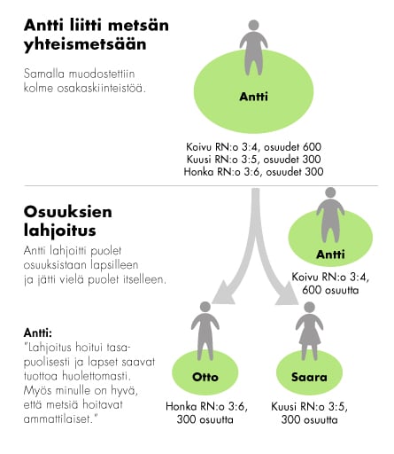 yhteismetsa-sukupolvenvaihdos-graafi.jpg