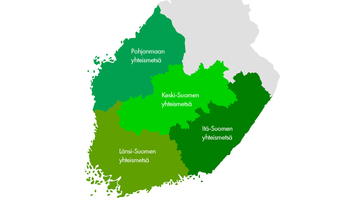 upm yhteismetsät, toiminta-alueet
