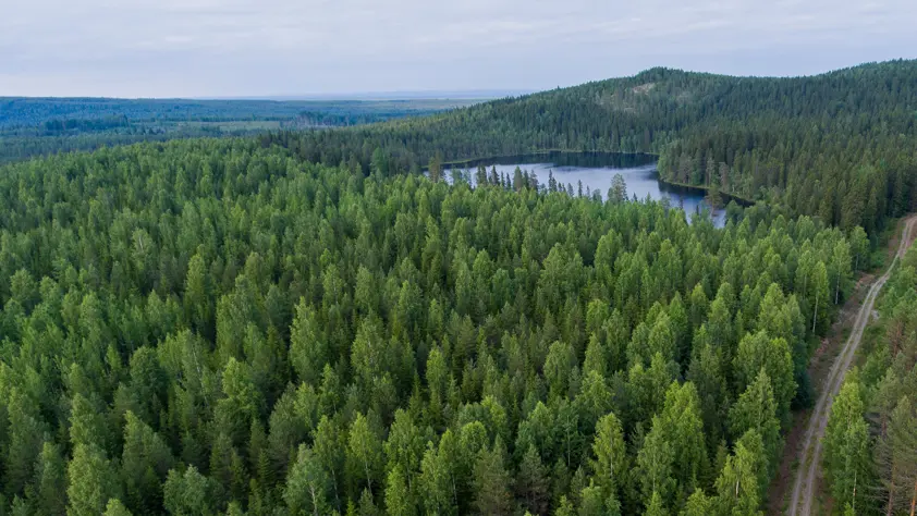 Näin tulet osakkaaksi Näin tulet osakkaaksi